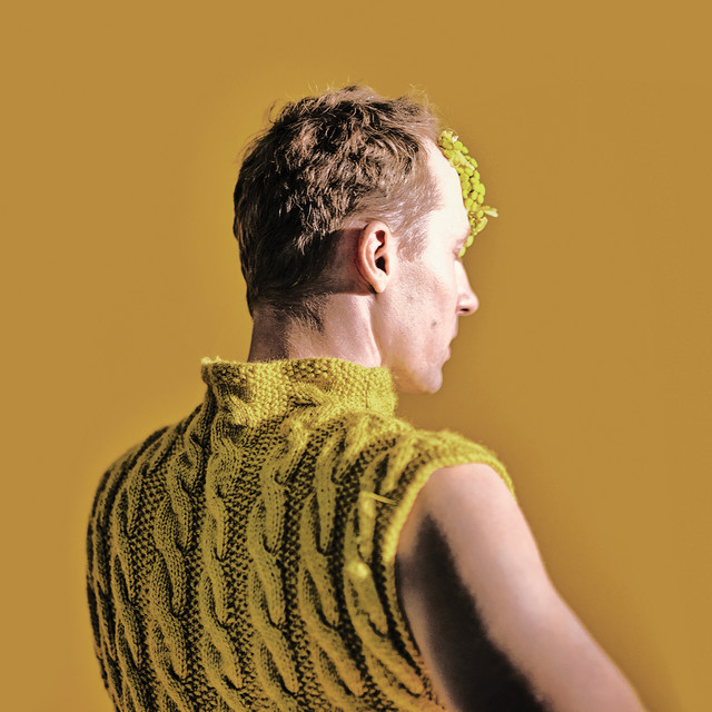 Lemon D