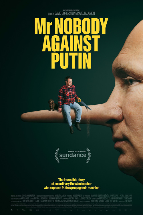 Mr. Nobody Against Putin at Mikro