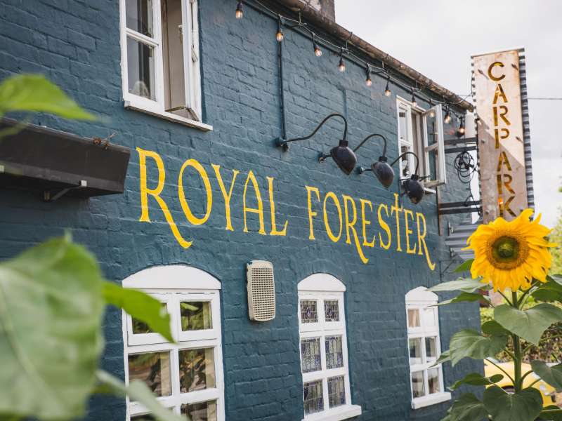Royal Forester Inn