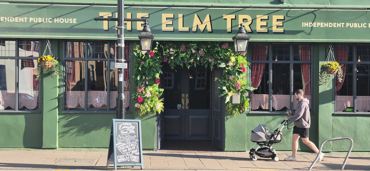 The Elm Tree