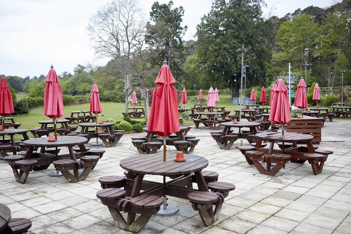 The New Forest @ Ashurst