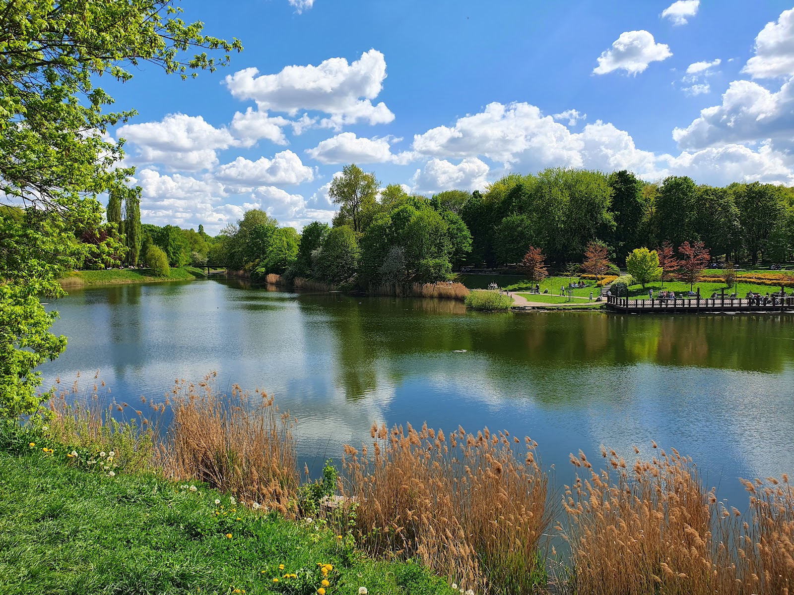 Park Szczliwicki (pokaż na mapie)