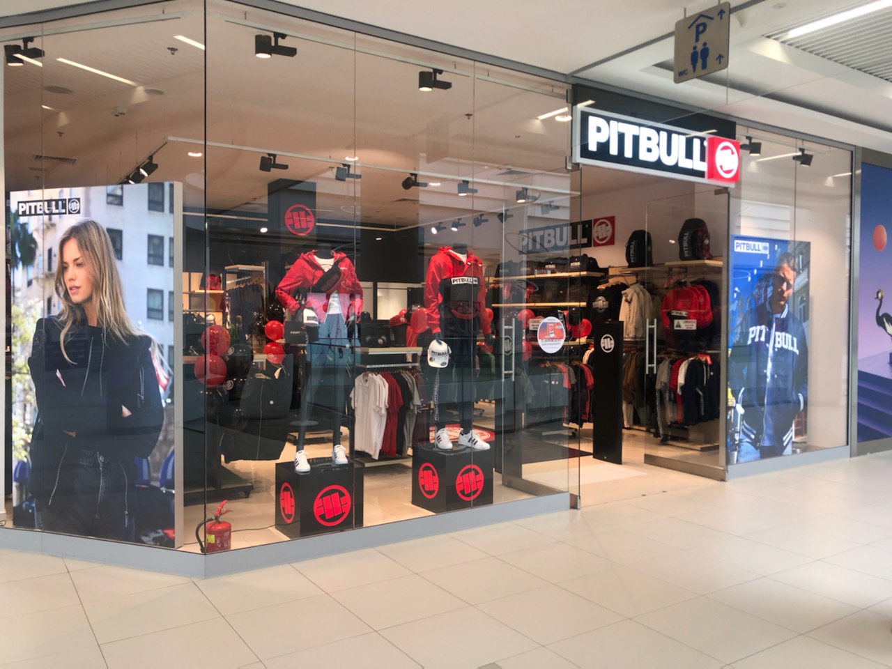 Pit Bull Galeria Plaza